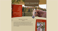Desktop Screenshot of lonetamarakarabians.com